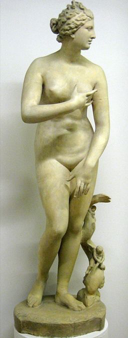 images/venus_demedicis.jpg
